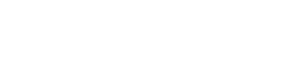 Logo Portal PM