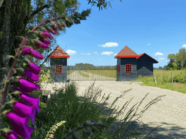 venta terreno los lagos Fundo Praderas de Frutillar 8